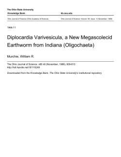 Diplocardia Varivesicula, a New Megascolecid Earthworm from