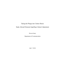 Taking the Plunge into Culture Shock