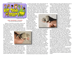 KTBSeptember-October.. - Alpha Omega Institute