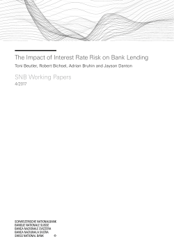 The Impact of Interest Rate Risk on Bank Lending