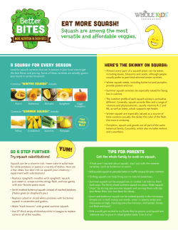 eat more squash! - Whole Kids Foundation