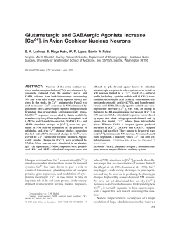 Glutamatergic and GABAergic Agonists Increase [Ca ]i in Avian