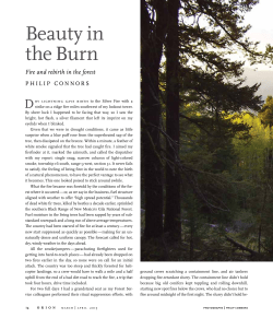 Beauty in the Burn