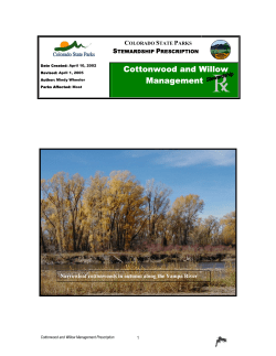 Cottonwood Willow Management Prescription