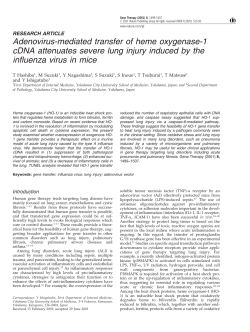 Adenovirus-mediated transfer of heme oxygenase-1 cDNA