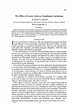 The Effect of Acetic Acid on Cytoplasmic Inclusions By JOHN R
