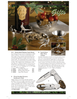 Beretta 2012 Gift Insert