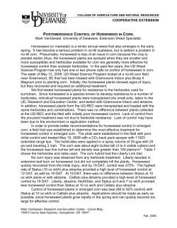 Postemergence Control of Horseweed in Corn