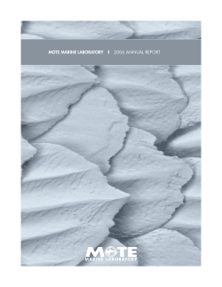 MOTE MARINE LABORATORY | 2006 ANNUAL REPORT