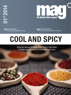 cool and spicy - ebm