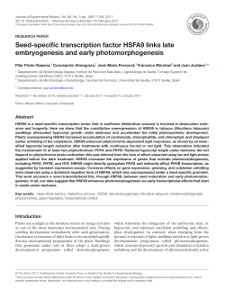 Seed-specific transcription factor HSFA9 links