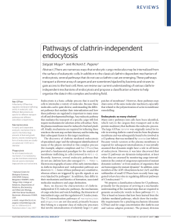 Pathways of clathrin-independent endocytosis