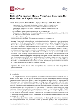 Role of Pea Enation Mosaic Virus Coat Protein in the Host Plant and