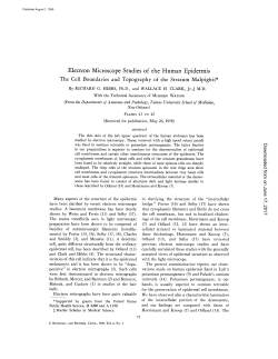 Electron Microscope Studies of the Human Epidermis The Cell
