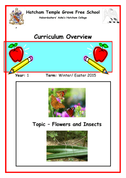 Curriculum Overview - Haberdashers` Aske`s Federation