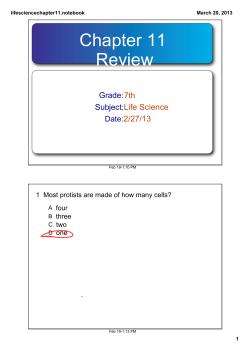 Chapter 11 Review - geraldinescience