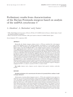 Preliminary results from characterization of the Iberian Peninsula