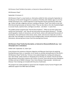 Did Dinosaurs Poop? - Museumwise: The Museum Association of