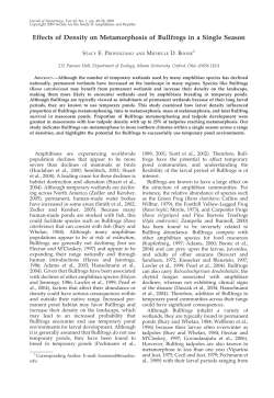 Effects of Density on Metamorphosis of Bullfrogs in a