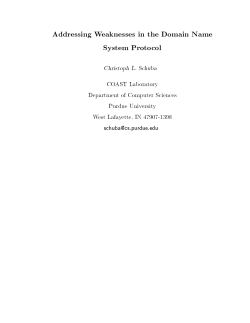 Addressing Weaknesses in the Domain Name System