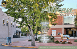 Antiquing - Visit Aiken SC