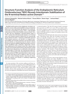 Structure-Function Analysis of the Endoplasmic Reticulum