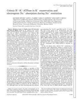 Colonic H -K -ATPase in K conservation and electrogenic Na