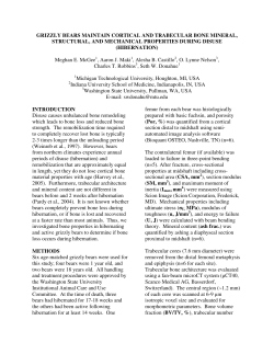 grizzly bears maintain cortical and trabecular bone mineral