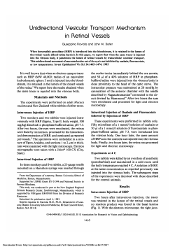 Unidirectional vesicular transport mechanism in