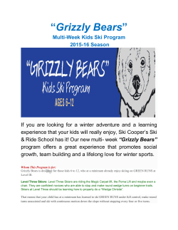 Grizzly Bears