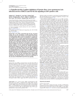 (-)-Epigallocatechin-3-gallate inhibition of Epstein