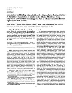 Localization and Binding Characteristics of a High
