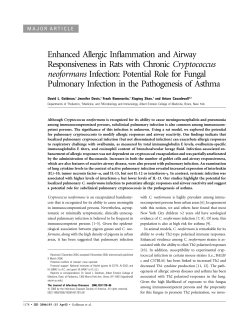 Enhanced Allergic Inflammation and Airway Responsiveness in