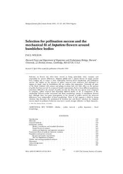 Selection for pollination success and the mechanical fit