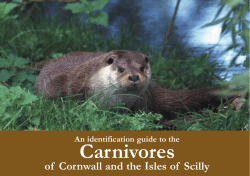 Carnivore guide - North Pennines