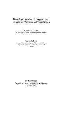Risk Assessment of Erosion and Losses of Particulate