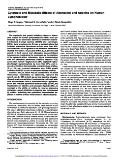 Cytotoxic and Metabolic Effects of Adenosine and Adenine on