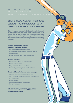 big stick briefing document pdf