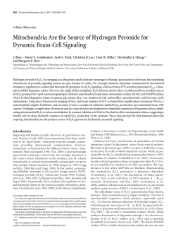 Mitochondria Are the Source of Hydrogen Peroxide for Dynamic