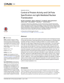 Control of Protein Activity and Cell Fate Specification via