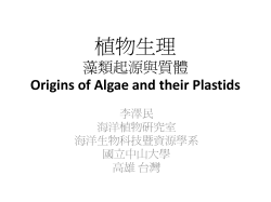 植物生理 藻類起源與質體 Origins of Algae and their Plastids