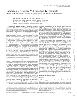 Inhibition of vascular ATP-sensitive K channels does not - AJP