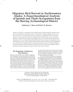 Migratory Bird Harvest in Northwestern Alaska
