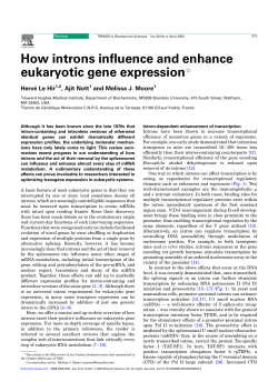 How introns influence and enhance eukaryotic gene