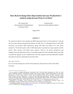 Does Real Exchange Rate Depreciation Increase Productivity
