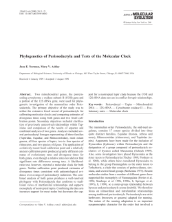 Phylogenetics of Perissodactyla and Tests of the Molecular Clock
