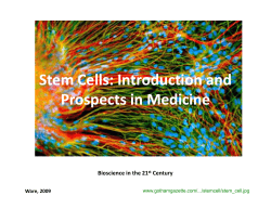 Stem Cells - Lehigh University