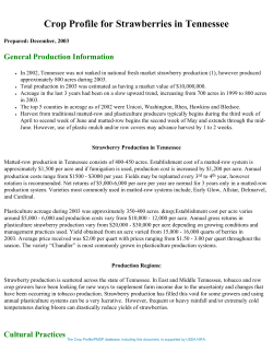 Crop Profile for Strawberries in Tennessee