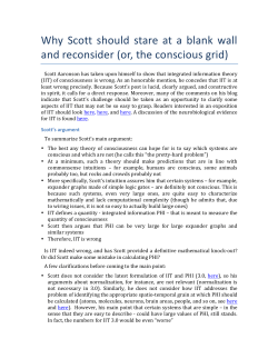 or, the conscious grid - Integrated Information Theory