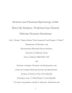 Structure and Vibrational Spectroscopy of Salt Water/Air Interfaces